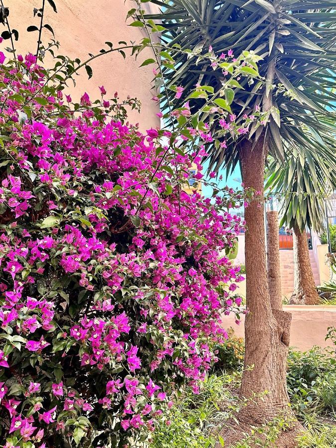 Art-Apart Caronte In Riviera Del Sol, Mijas Costa Sitio de Calahonda Eksteriør bilde